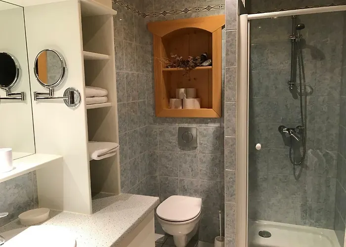 Les Berges De L'ohmbach Lejlighed Soultzmatt