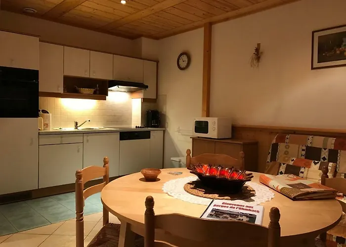 Lejlighed Les Berges De L'ohmbach