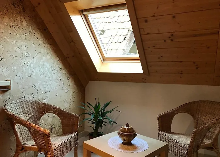 Lejlighed Les Berges De L'ohmbach